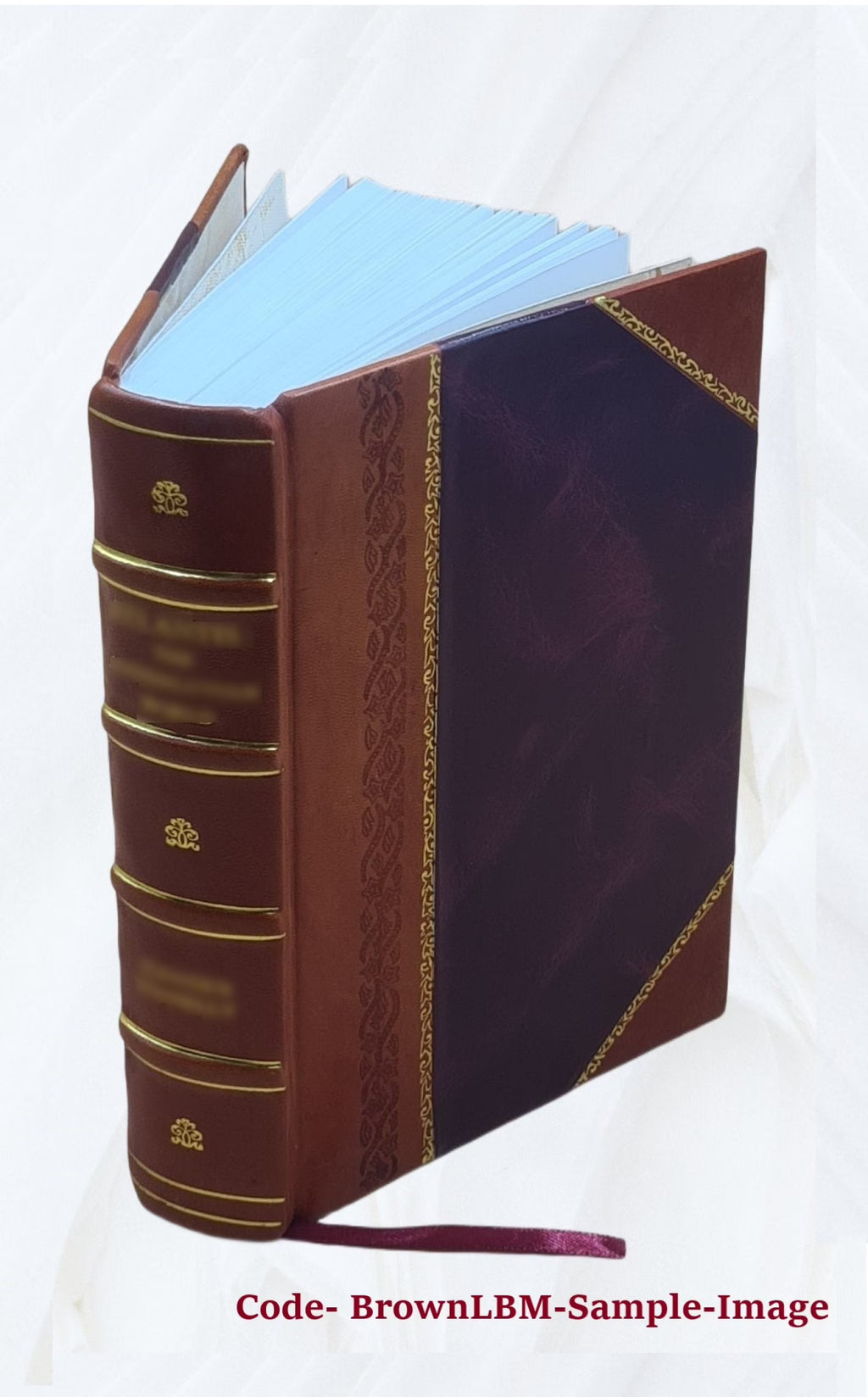 Le secret du trappeur par Louis Noir et Pierre Ferragut 1876 Leather Bound I1863