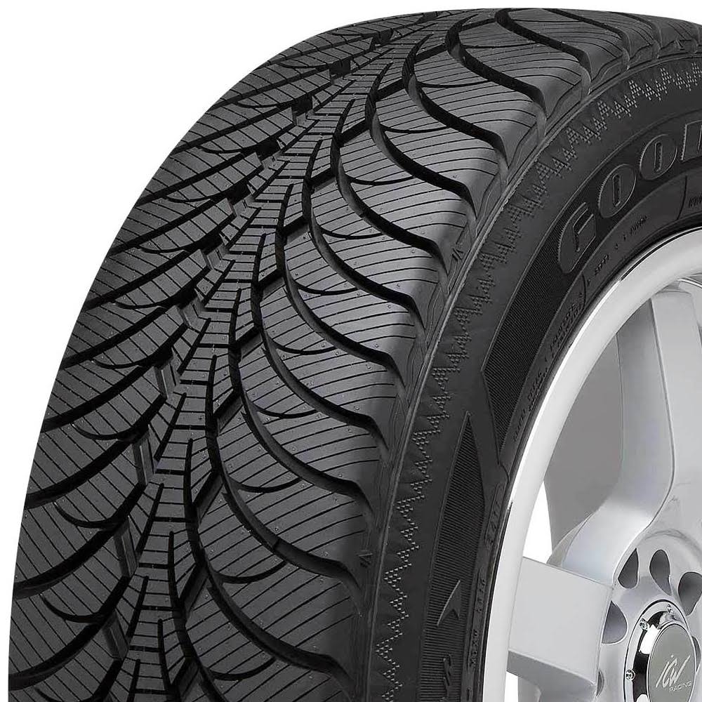 255/55R18 109S XL Winter Tire E38489