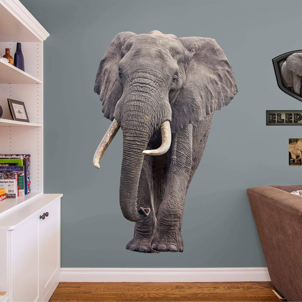 X-Large Removable Wall Decal L3980