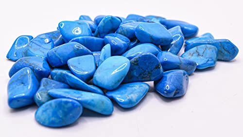 1 lb Blue Howlite Tumbled Stone Crystal P782619