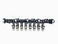 Cam & Lifter Kit Q353057