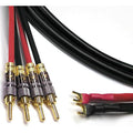 Speaker Cable 11 AWG 10 ft Q825119