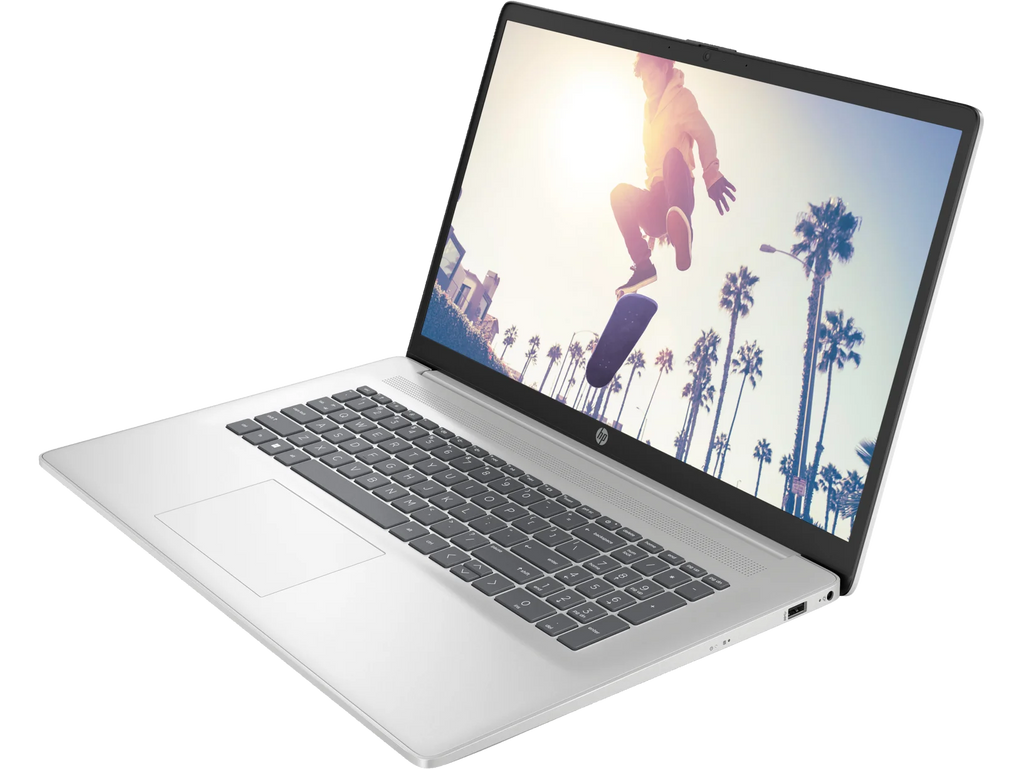 17.3" HD+ Intel Core 8 GB 256 GB SSD Laptop R890511