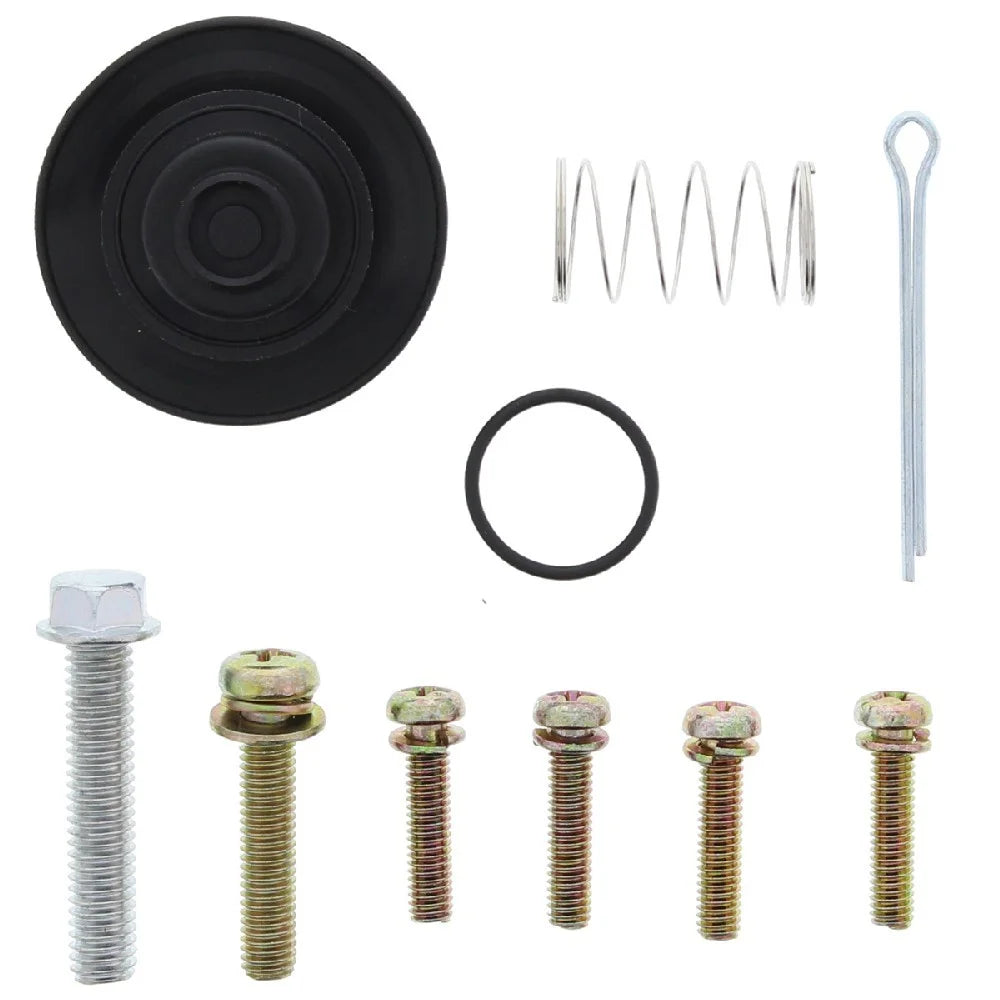 Diaphragm Repair Kit B8986