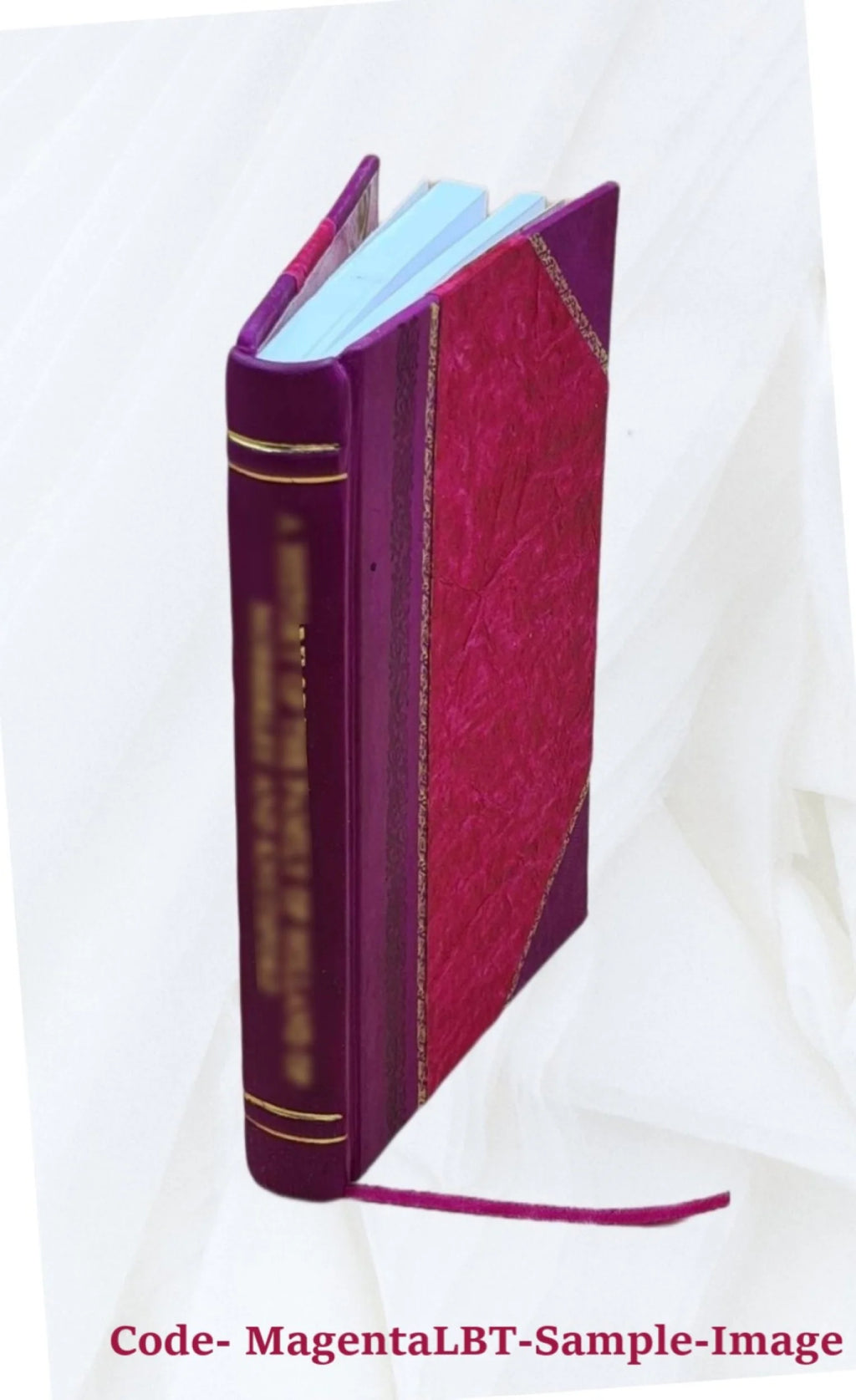 The boy's account of it: a chronicle of foreign travel by an eight-year-old. Translated by a patient printer from the manuscript of "Bobs" Roberts (William Culver Roberts, jr.) U104