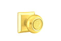 Bright Brass Finish Knob H1664