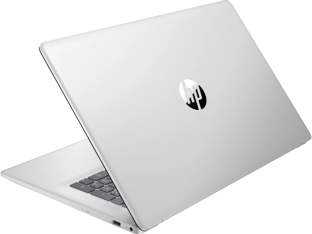 17.3" HD+ Intel Core 8 GB 256 GB SSD Laptop R890511