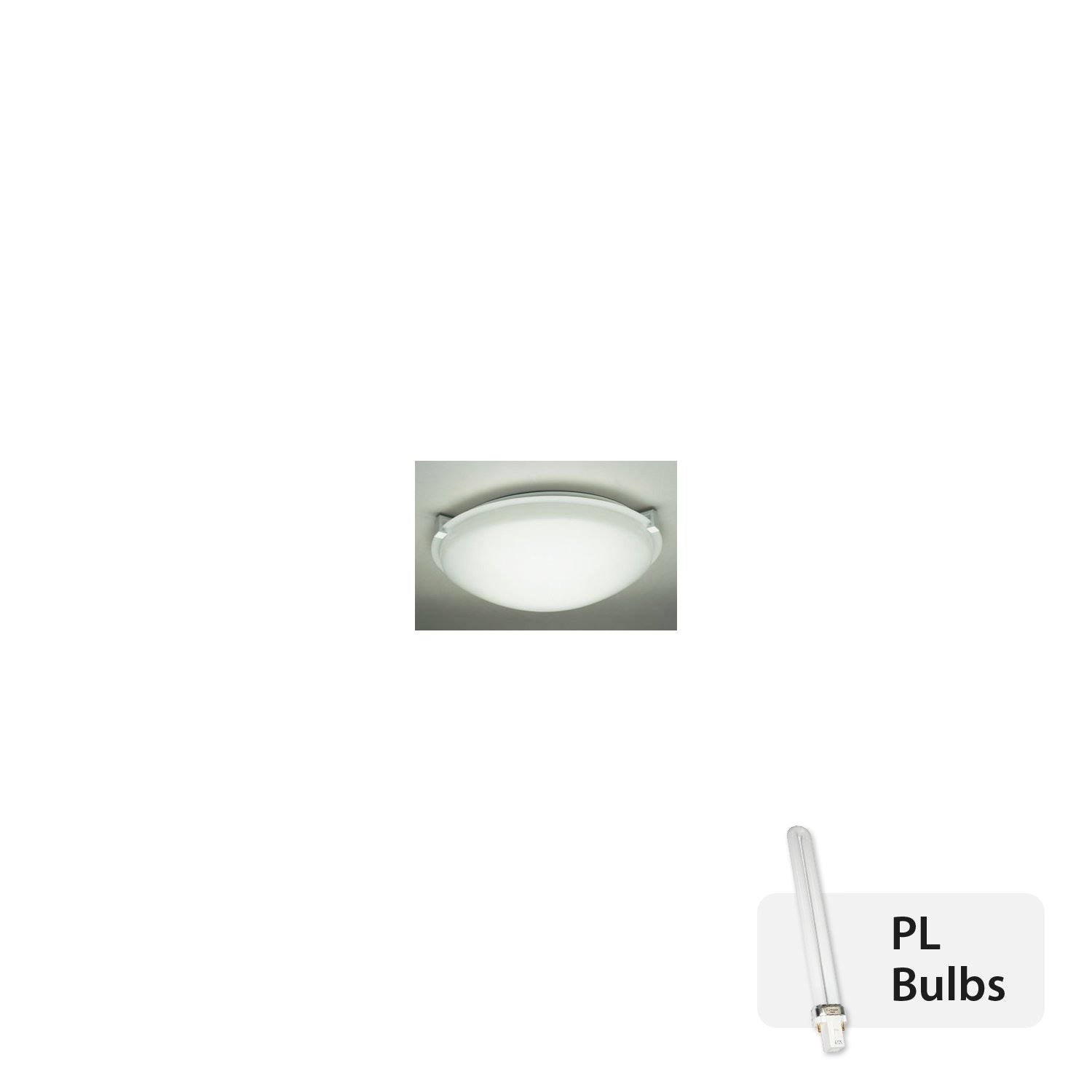 Two Light Ceiling Mount T355
