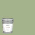 Exterior Paint (5-Gallon) T69931