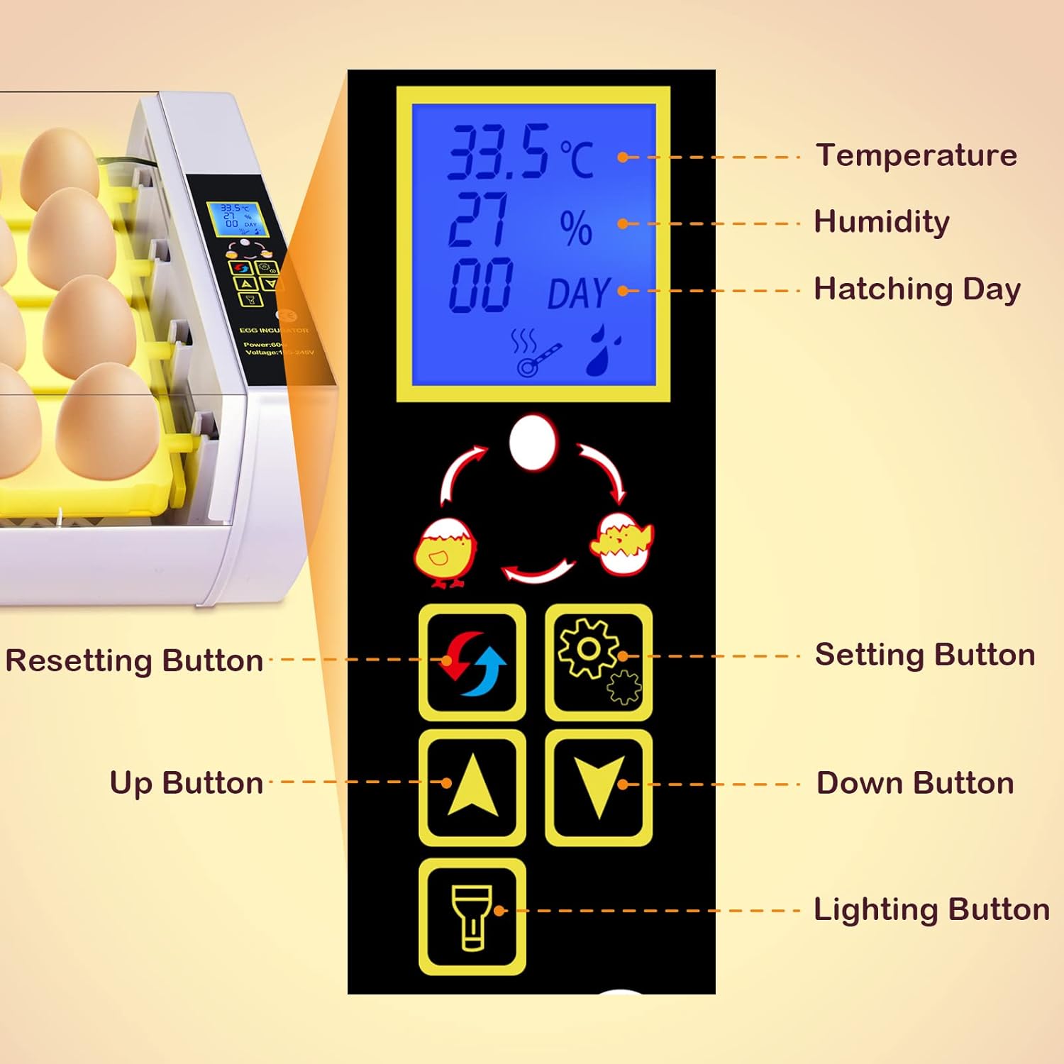 24 Eggs Incubator with Automatic Egg Turning L6958