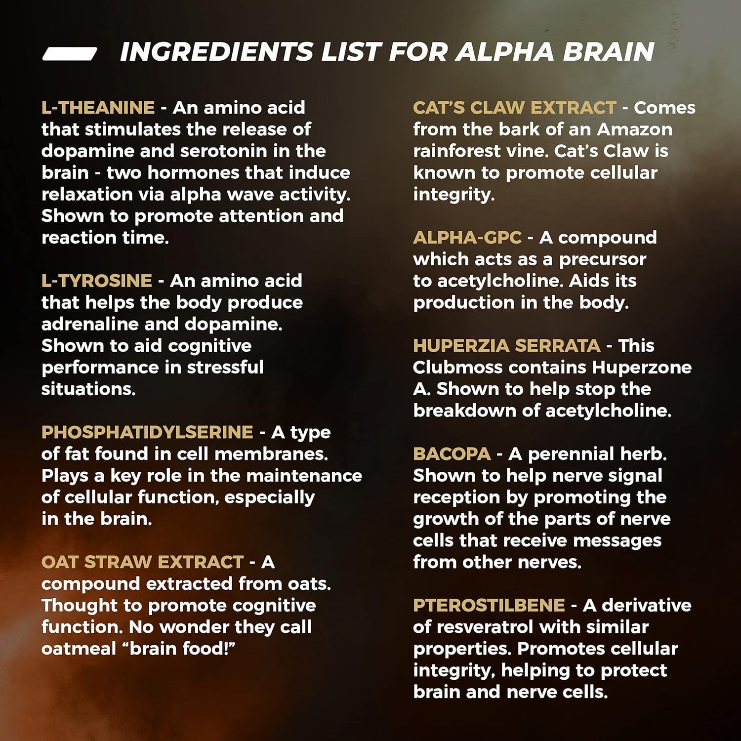 Alpha Brain Nootropic Brain Supplement Pack of 2 P706291