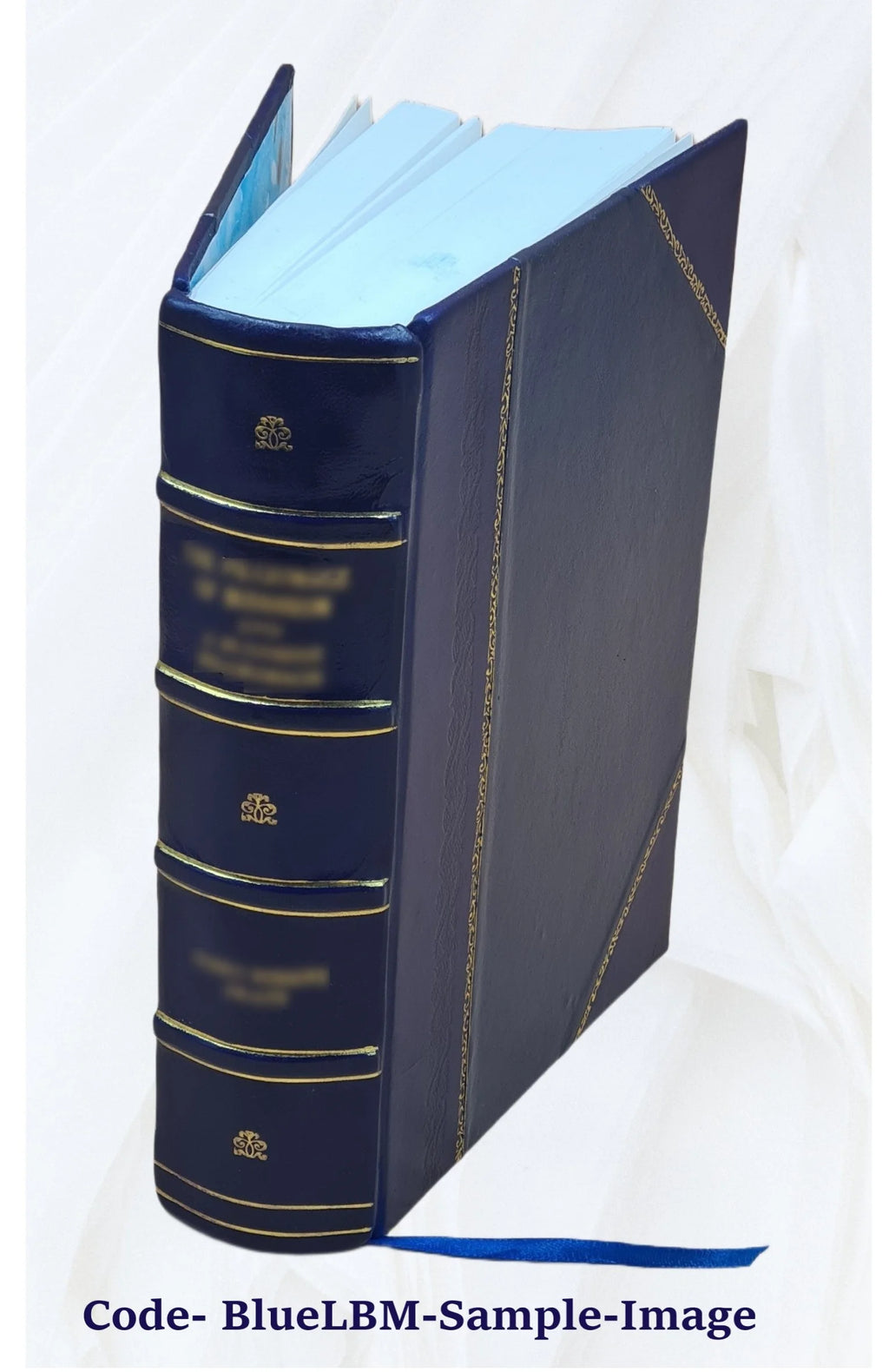 Le secret du trappeur par Louis Noir et Pierre Ferragut 1876 Leather Bound I1863