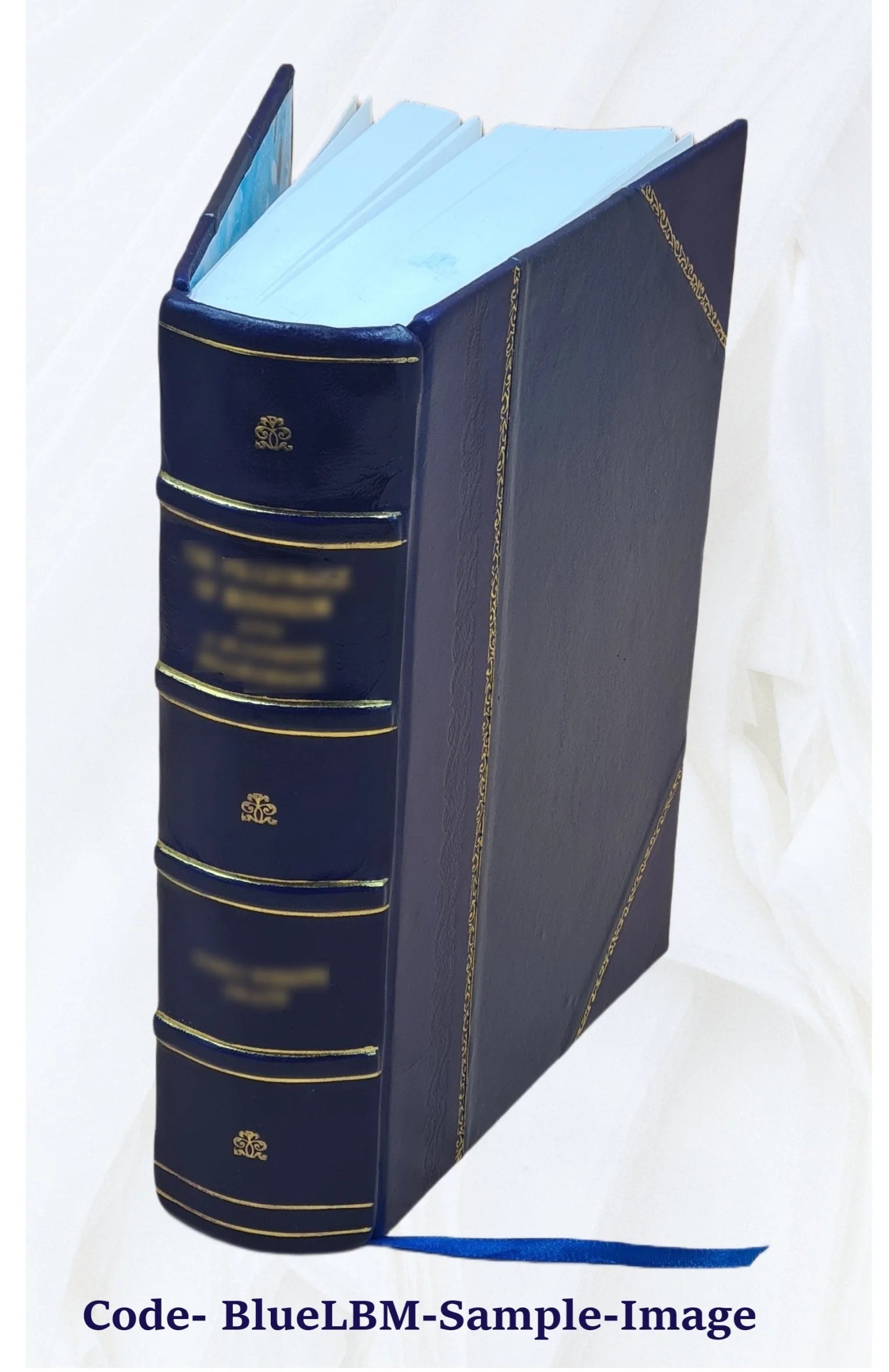 Le secret du trappeur par Louis Noir et Pierre Ferragut 1876 Leather Bound I1863