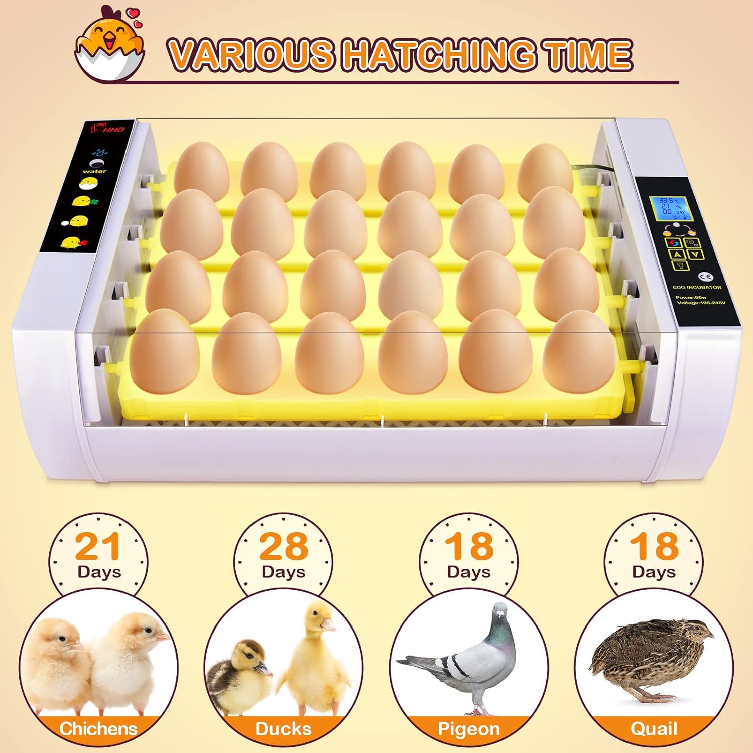 24 Eggs Incubator with Automatic Egg Turning L6958