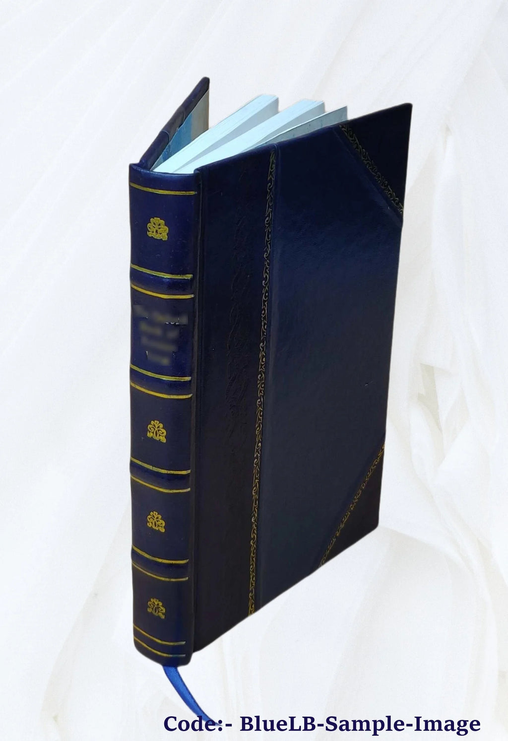 Leather Bound Book Q5464
