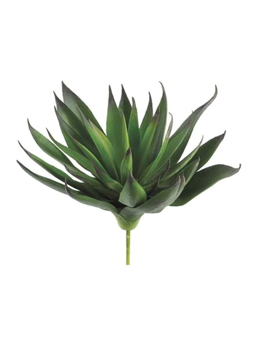 7.8 in. Agave Plant with 33 Leaves Green Purple, Case of 12 V82790