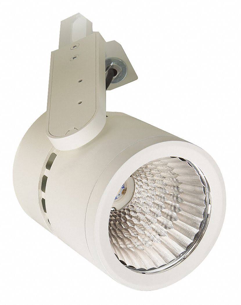 White LED Gimbaled Shape Head L609525