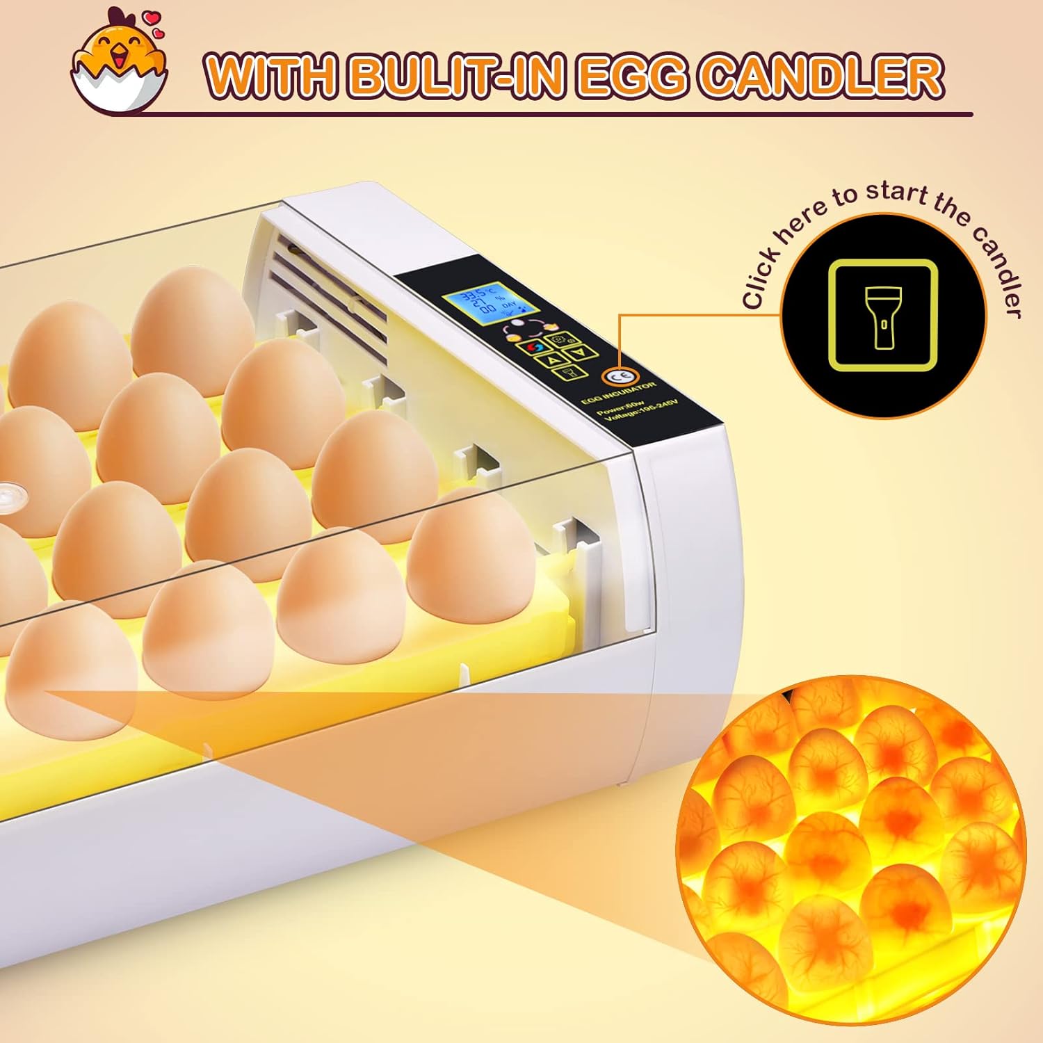 24 Eggs Incubator with Automatic Egg Turning L6958