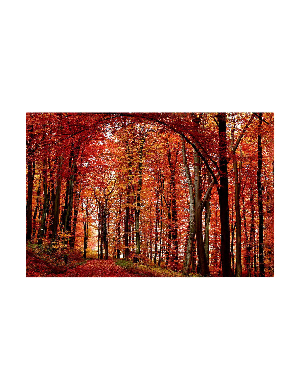 Canvas Art Y54673