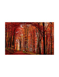 Canvas Art Y54673