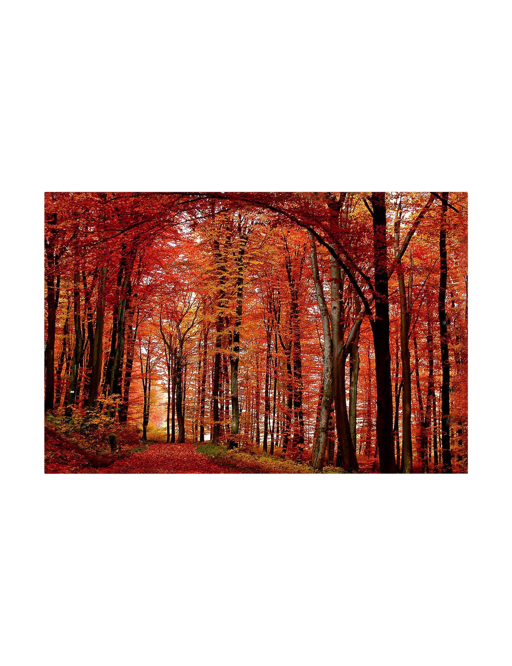 Canvas Art Y54673