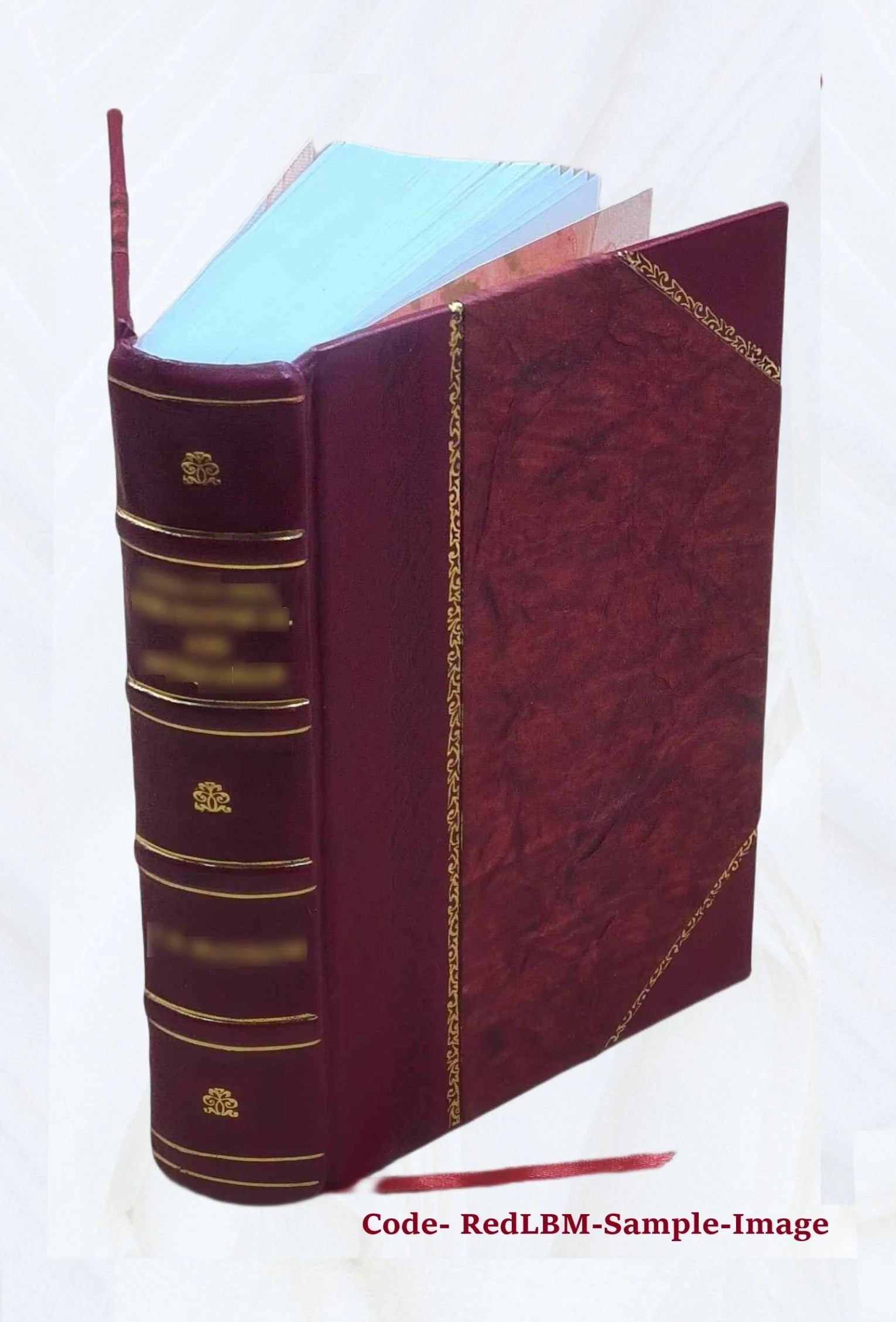 Le secret du trappeur par Louis Noir et Pierre Ferragut 1876 Leather Bound I1863