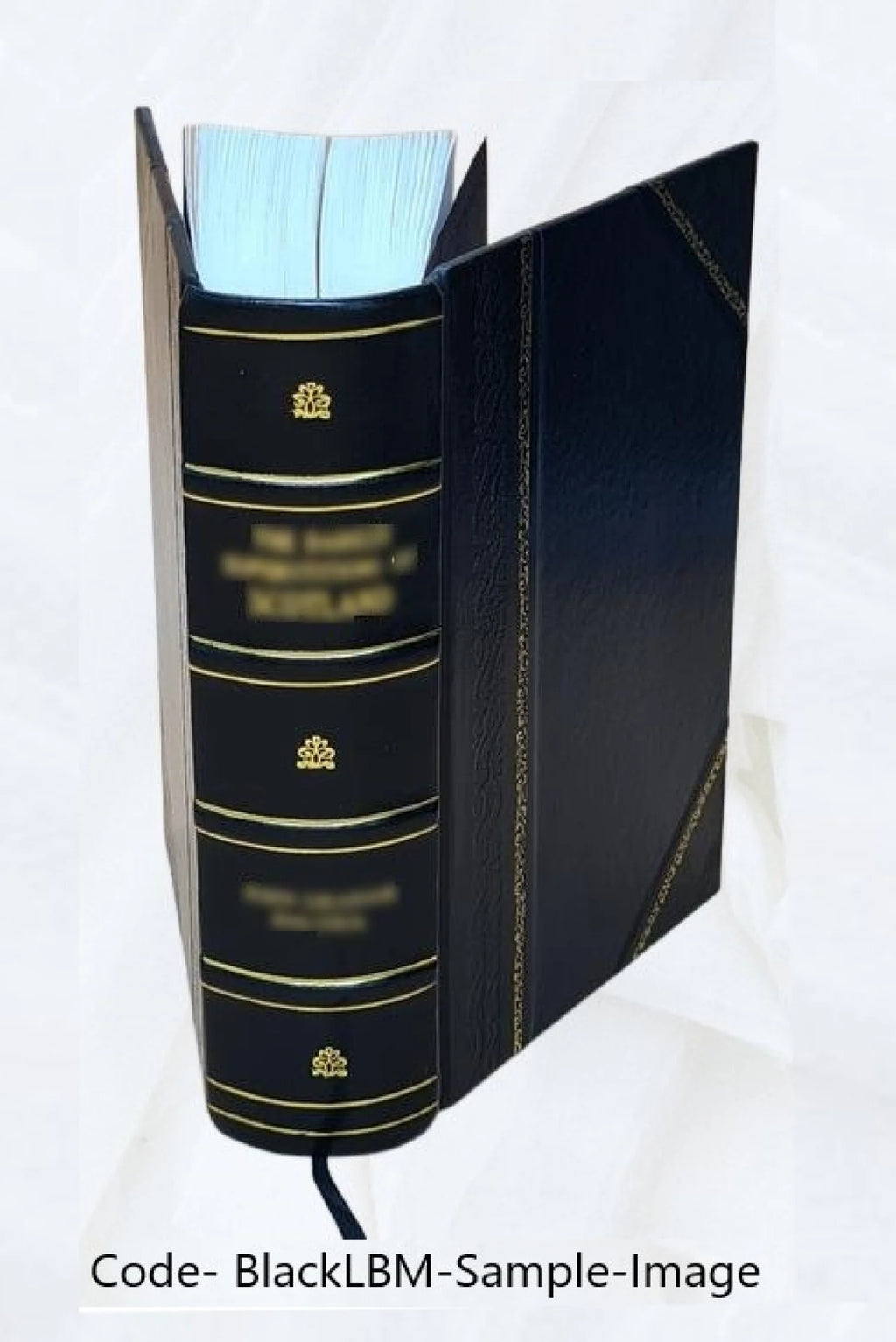 Le secret du trappeur par Louis Noir et Pierre Ferragut 1876 Leather Bound I1863