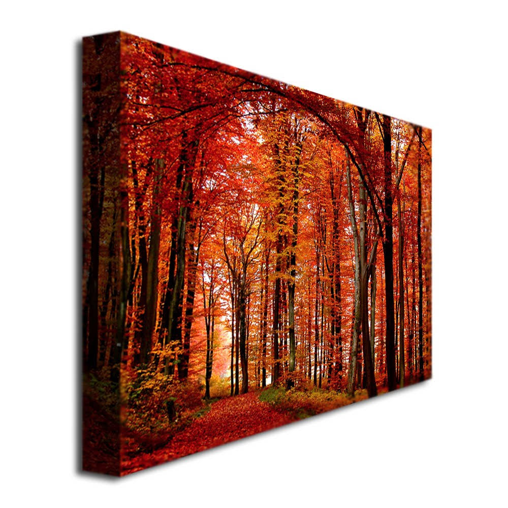 Canvas Art Y54673