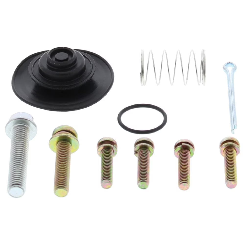 Diaphragm Repair Kit B8986