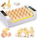 24 Eggs Incubator with Automatic Egg Turning L6958