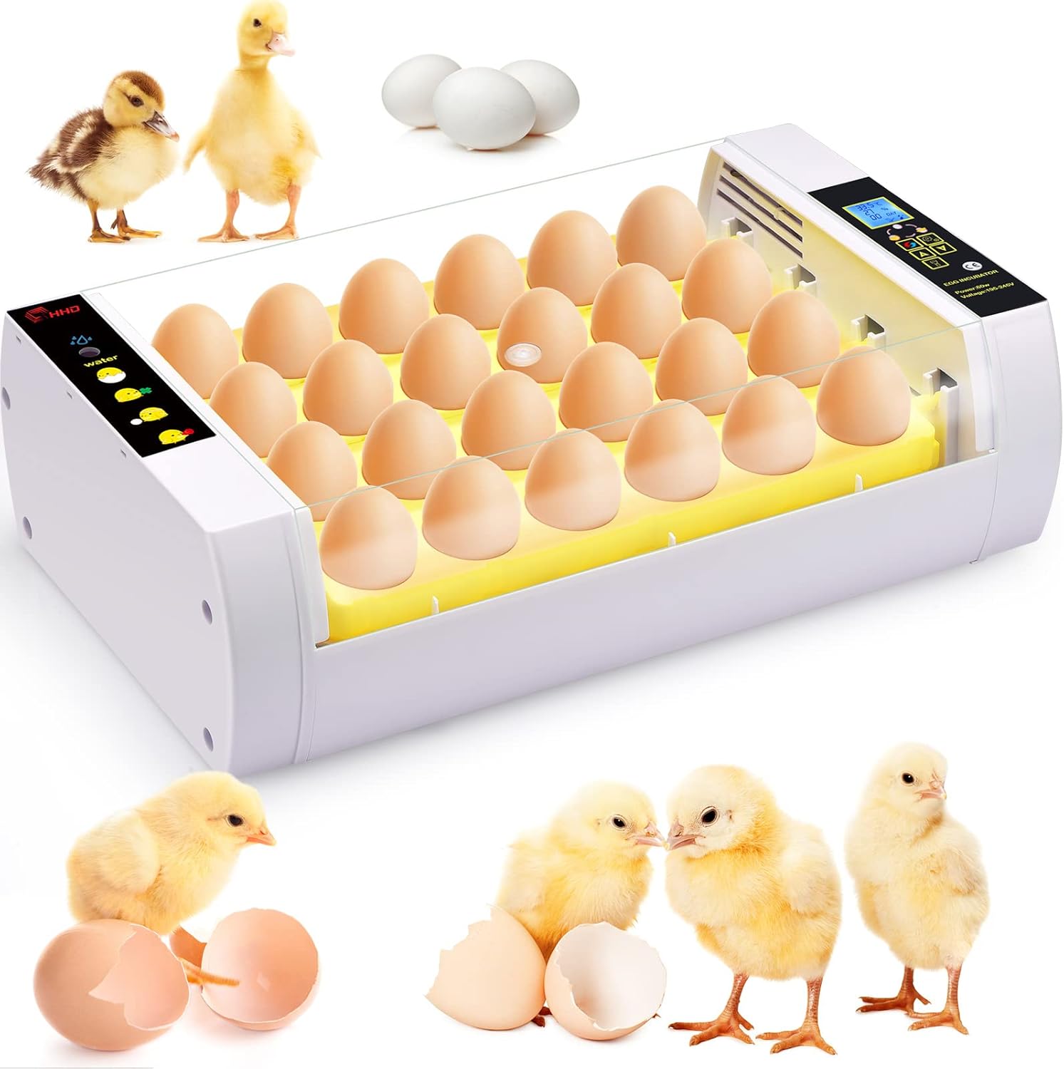 24 Eggs Incubator with Automatic Egg Turning L6958