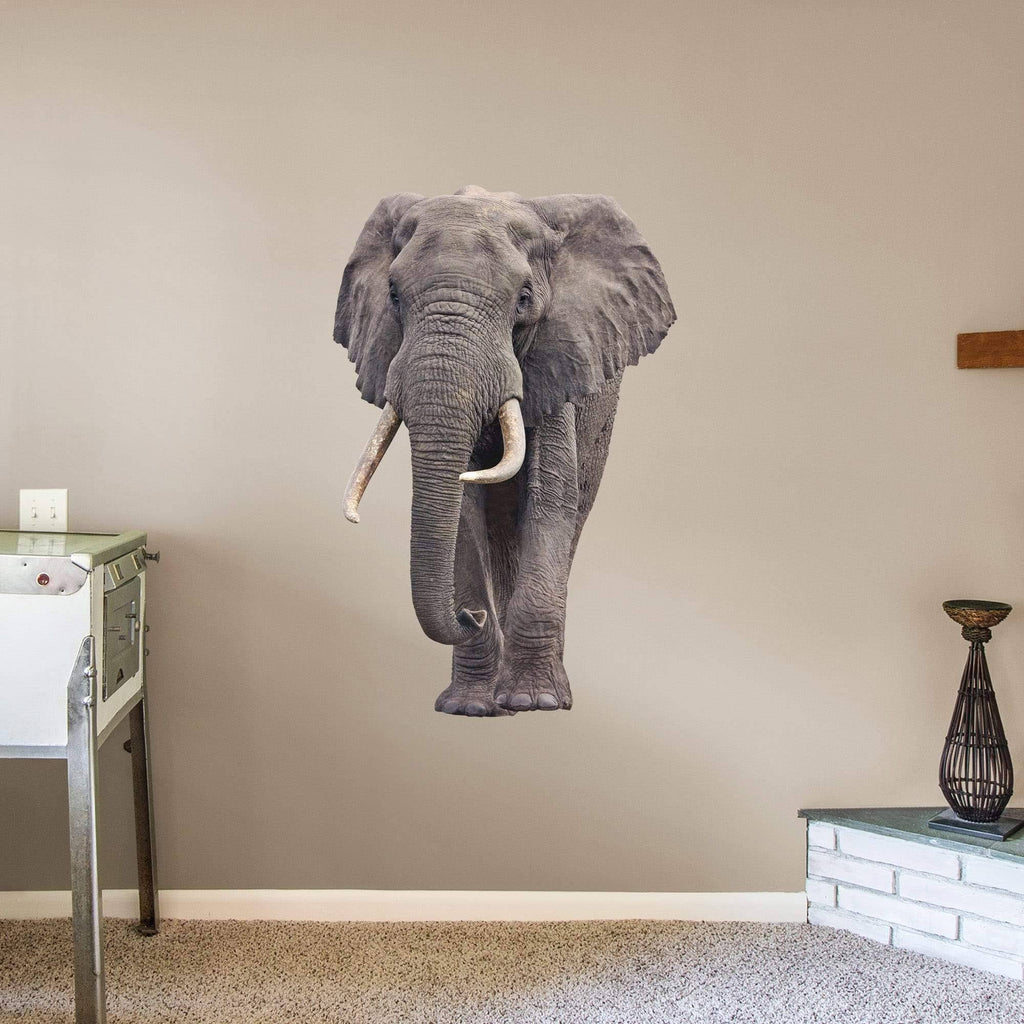 X-Large Removable Wall Decal L3980