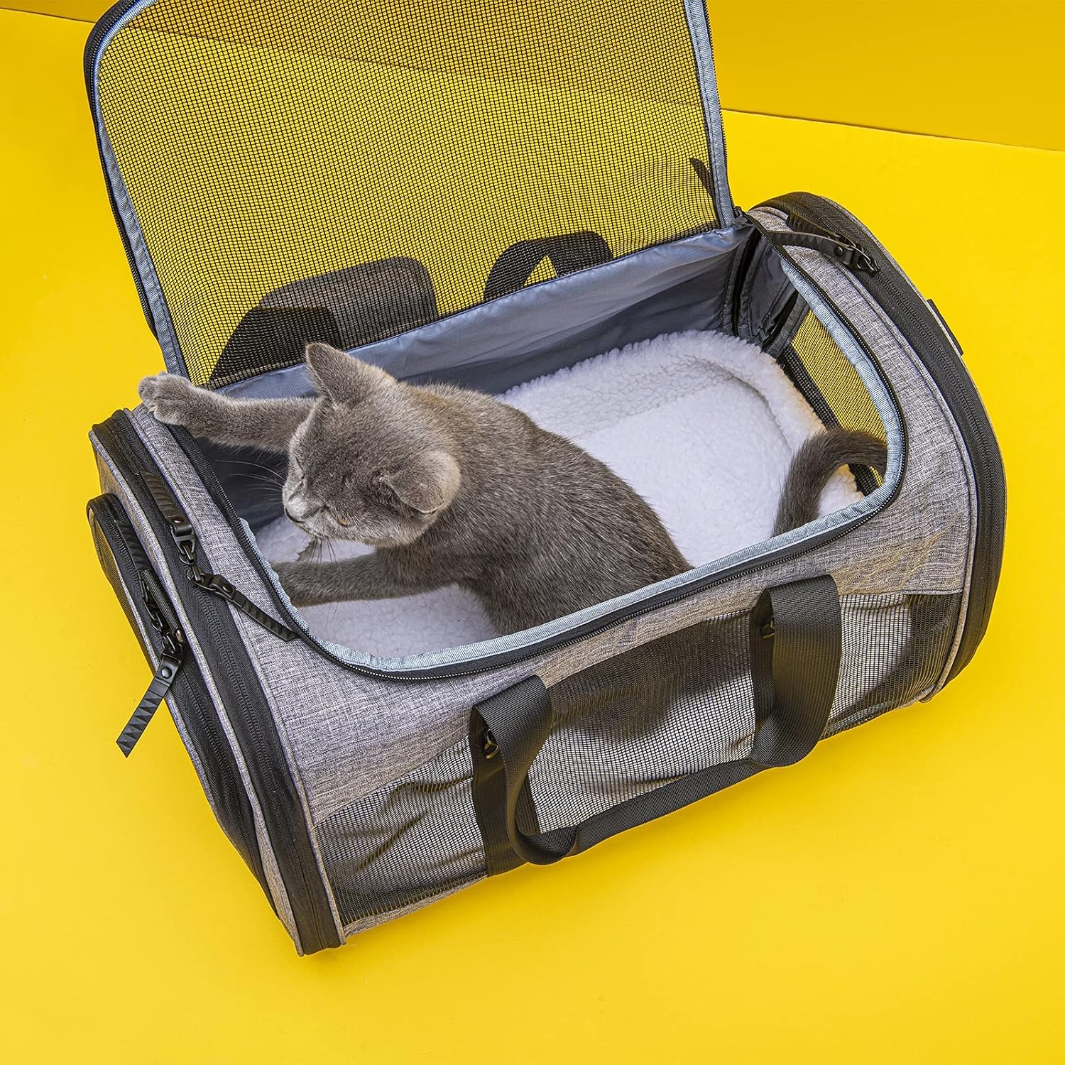 Collapsible Soft Sided Pet Carrier Bag W870