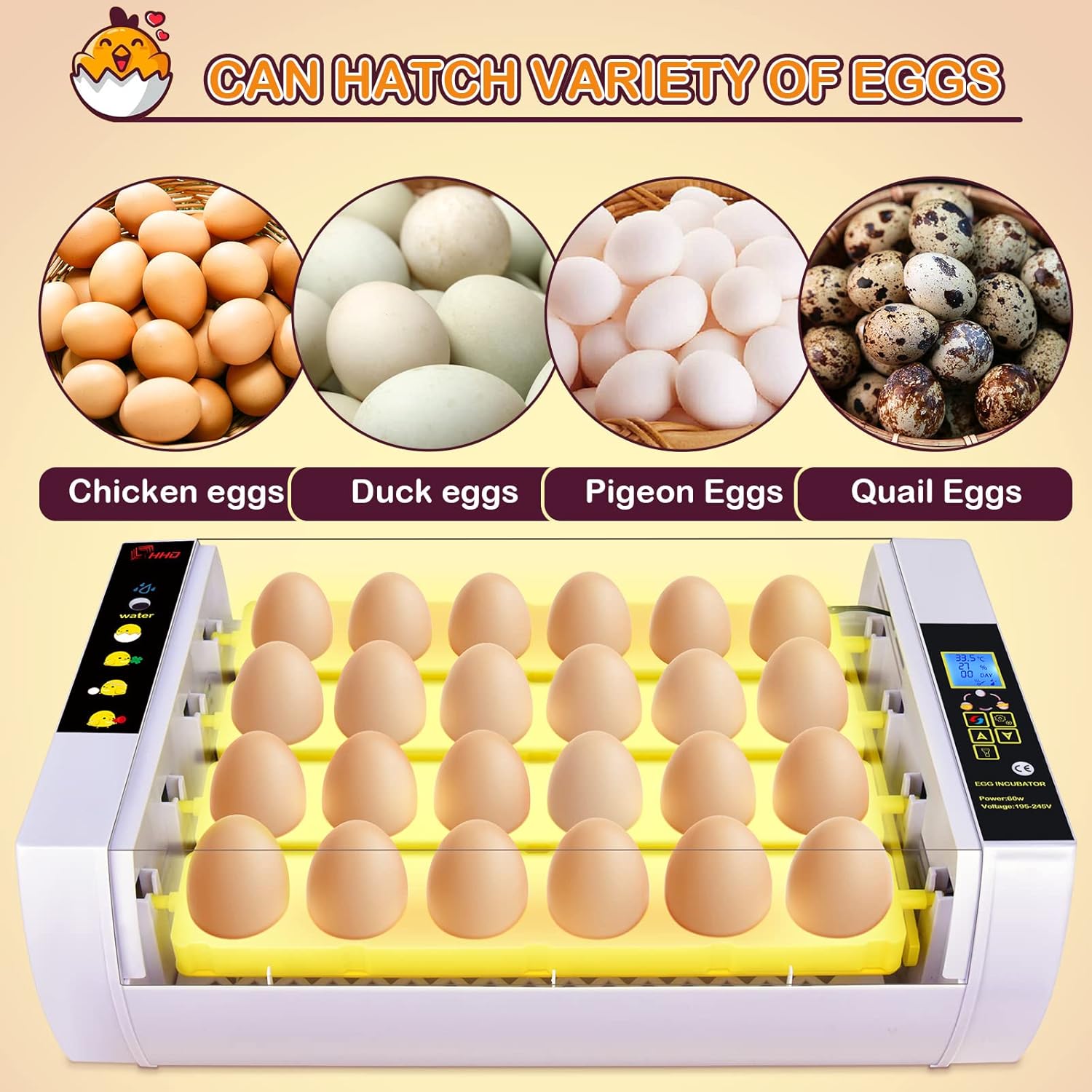24 Eggs Incubator with Automatic Egg Turning L6958