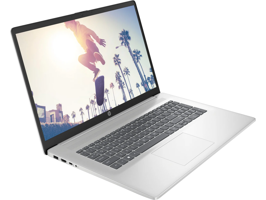 17.3" HD+ Intel Core 8 GB 256 GB SSD Laptop R890511