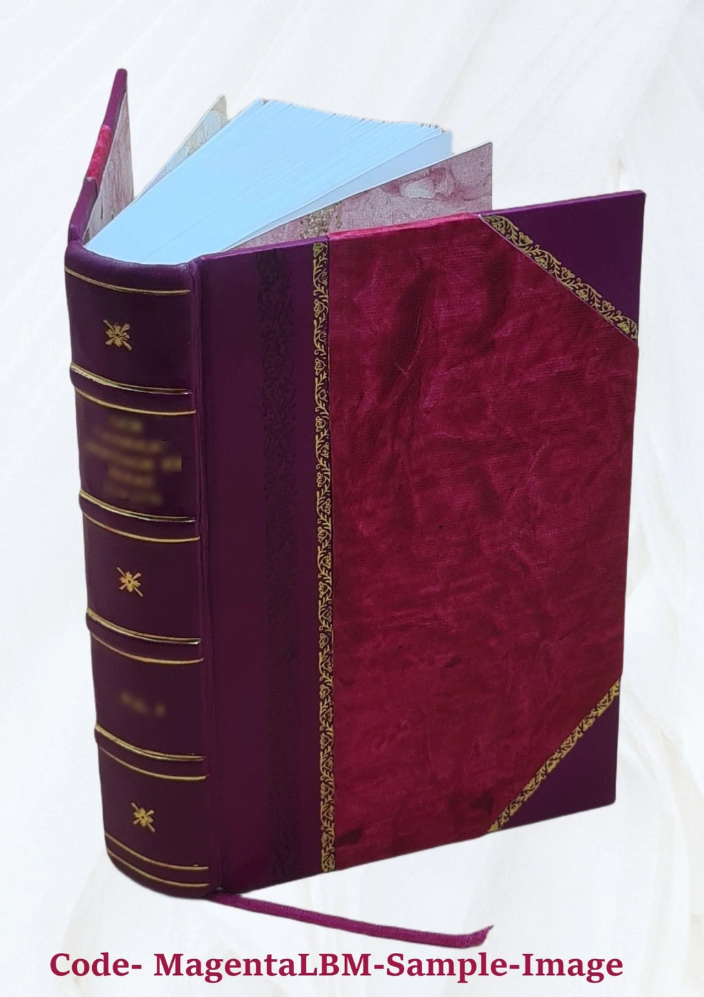 Le secret du trappeur par Louis Noir et Pierre Ferragut 1876 Leather Bound I1863