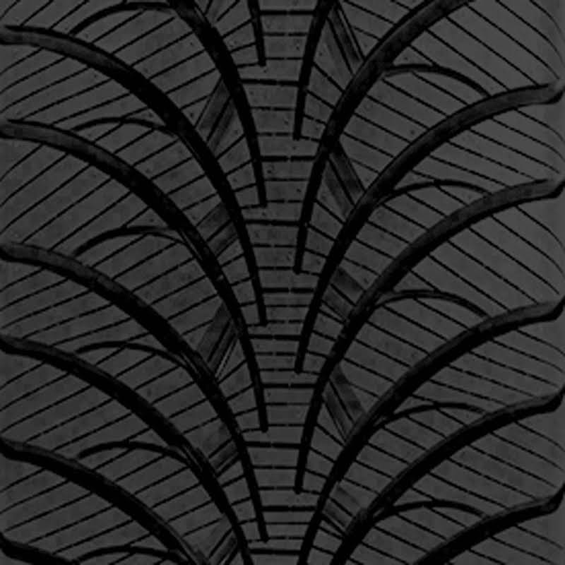 255/55R18 109S XL Winter Tire E38489