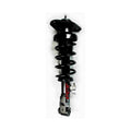 Suspension Strut and Coil Spring Assembly I74048